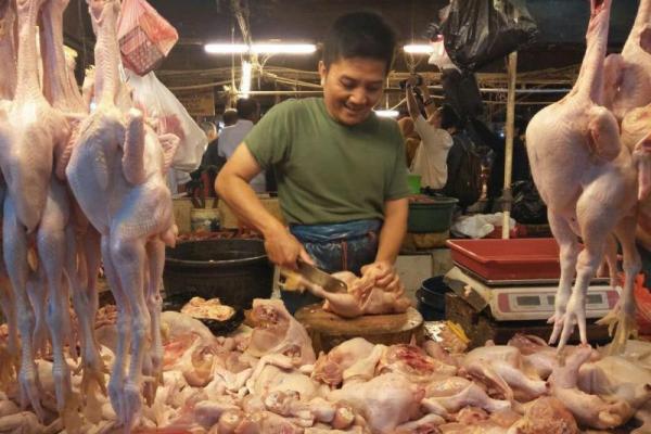 Ilustrasi daging ayam potong (Foto: Instagram/Kemendag) 