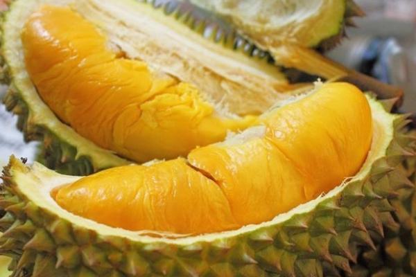 Ilustrasi - Orang-orang yang sebaiknya tidak mengonsumsi durian (Foto: Tribun) 