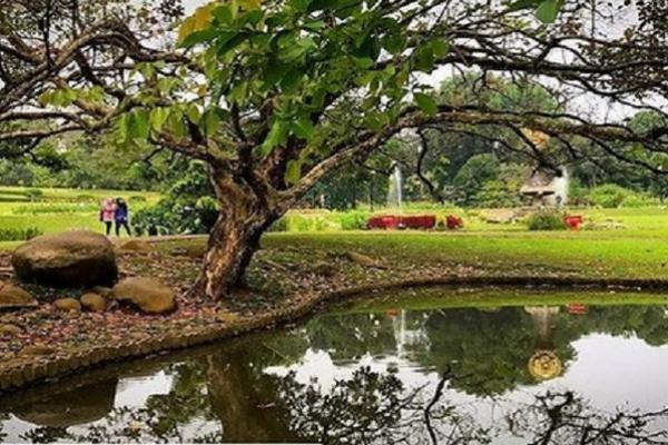 Mitos Kebun Raya Bogor, Putus Cinta dan Cinta Sejati