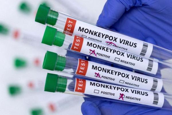 Pihak Berwenang Tahu Cara Penangannya, WHO Sebut Virus Cacar Monyet Mpox Bukan COVID Baru