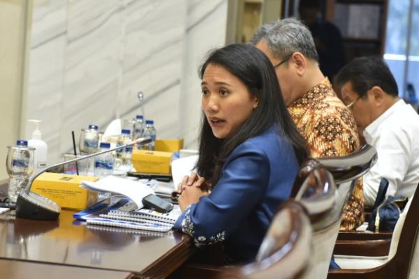 Anggota Komisi XI DPR RI Putri Komarudin. Foto: dpr 