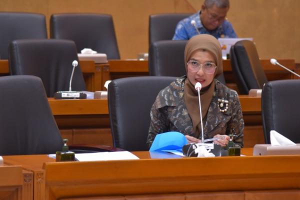 Legislator: Pendirian Lembaga Sosial Harus Melalui Verifikasi Ketat