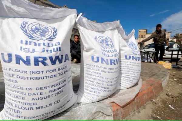 Iljusrasi bantuan logistik dari UNRWA untuk para pengungsi Palestina. REUTERS 