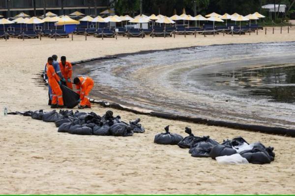 Pekerja membersihkan tumpahan minyak di Pantai Tanjong di Sentosa, Singapura 16 Juni 2024. REUTERS 
