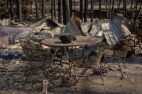 Setidaknya Satu Orang Tewas akibat Kebakaran Hutan di New Mexico, Ribuan Orang Dievakuasi