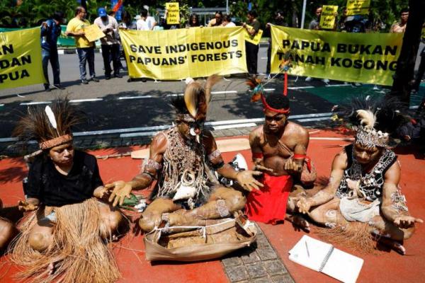 Berebut Hak Atas Tanah, Suku Awyu Papua dan Perusahaan Kelapa Sawit  Menunggu Putusan MA