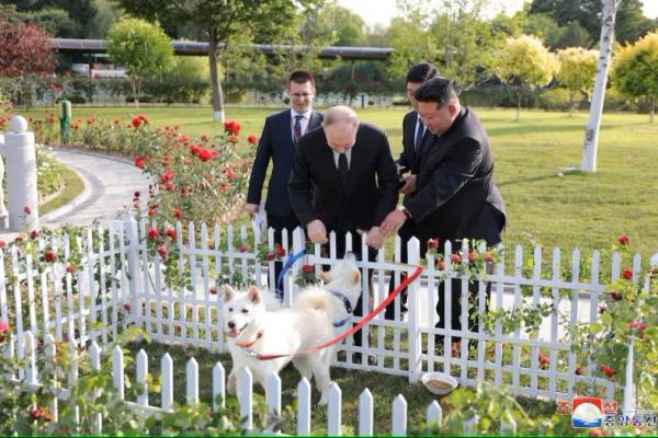 Kim Jong Un Beri Hadiah Sepasang Anjing kepada Putin