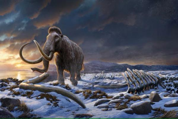 Kesan seniman tentang mamut berbulu terakhir di Pulau Wrangel di Samudra Arktik di lepas pantai Siberia, Rusia. Handout via REUTERS 