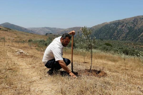 Petani Lebanon Zakaria Farah, duduk di tanahnya saat wawancara dengan Reuters di Qlayaa, Lebanon selatan 12 Juni 2024. REUTERS 