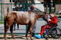 Kuda Terapi Bantu Pasien Neurologi Dapatkan Kembali Kepercayaan Diri