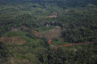 Deforestasi di Kolombia Turun ke Titik Terendah Sepanjang Sejarah Tahun Lalu