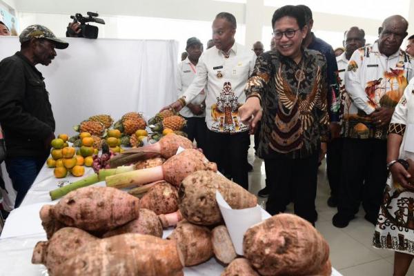 Mendes Puji Pencapaian Program Tekad di Papua