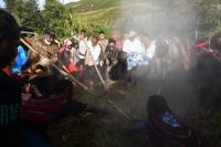 Ritual Bakar Batu, Warisan Nenek Moyang untuk Simbol Perdamaian