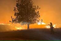 Gelombang Panas Melanda AS Bagian Barat, Kebakaran Hutan Mengancam