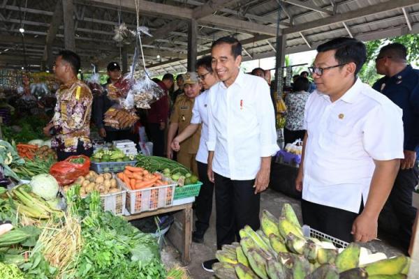 Wujudkan Ketahanan Pangan Universal, Jokowi Terima Agricola Medal dari FAO