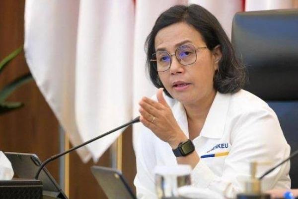 Menteri Keuangan Sri Mulyani (Foto:Tribunnews) 