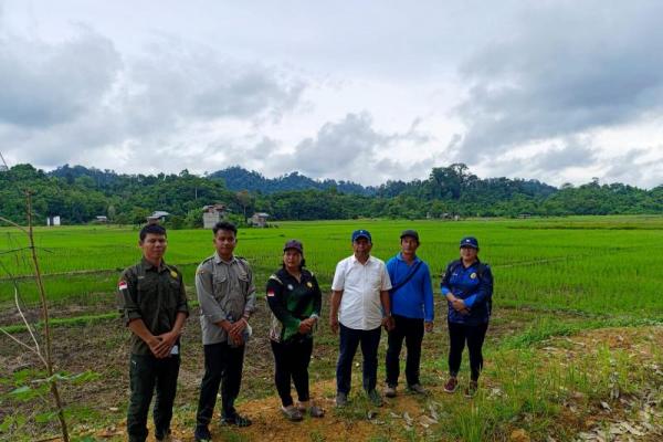 Tingkatkan Produksi Padi, Kementan Dorong Kaltara Gencarkan PAT