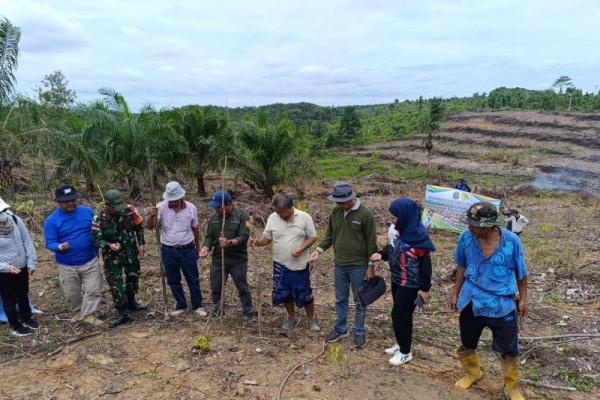 Perkuat Ketahanan Pangan, Kementan Genjot Penanaman Padi Gogo di Kaltara