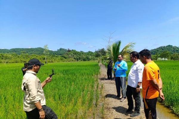 Tim BPPSDMP Kementan melakukan monitoring program pompanisasi di kawasan tanam padi di Kabupaten Bulungan, Kalimantan Utara (Foto: Kementan) 