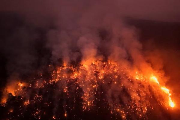 Pemandangan kehancuran yang disebabkan oleh kebakaran hutan di Amazon di area Jalan Raya Trans-Amazon BR230 di Labrea, Brasil 4 September 2024. REUTERS 