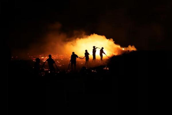 Petugas pemadam kebakaran berusaha memadamkan kebakaran hutan di Canas de Senhorim, Portugal, 16 September 2024. REUTERS 