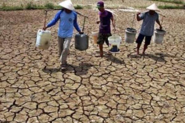 Tidak Hujan Dua Bulan, Tujuh Provinsi Alami Kekeringan Ekstrem