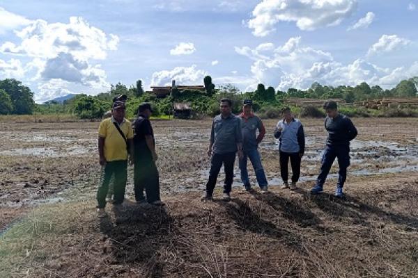 Kepala Pusat Pelatihan Pertanian BPPSDMP Kementan, Muhammad Amin, mengunjungi lahan sawah tadah hujan di Desa Lonbeluah, Kecamatan Tanjung Palas Barat, Kabupaten Bulungan, Kaltara (Foto: Kementan) 