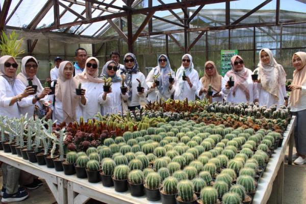 Kementan Dorong Ketahanan Pangan Kota Makassar lewat Urban Farming