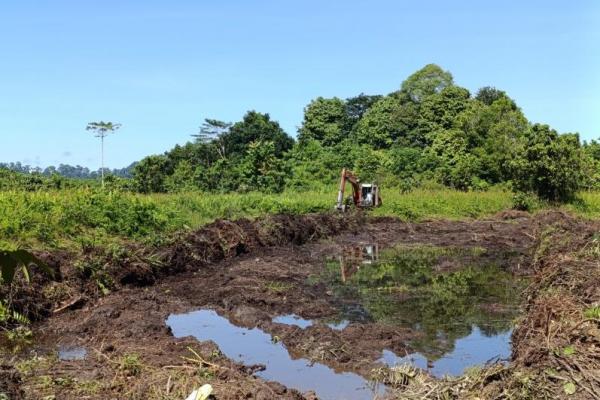 Kementerian Pertanian (Kementan) mendorong percepatan Program Perluasan Areal Tanam (PAT) di Kabupaten Malinau, Kalimantan Utara (Foto: Kementan) 