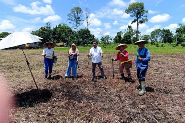 Kepala Pusat Pelatihan Pertanian BPPSDMP Kementan, Muhammad Amin, bersama Kelompok Tani Mangris Lestari, melakukan penanaman padi lokal secara simbolis di lahan seluas 3 hektar dari total 300 hektar yang tersedia di Kabupaten Malinau, Kalimantan Utara (Foto: Kementan) 