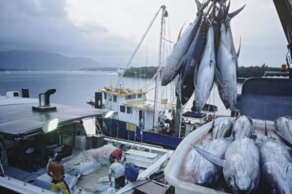 Potensi pasar perikanan global mencapai 269,3 miliar dolar AS (foto:ilustrasi penangkapan ikan/kompas) 