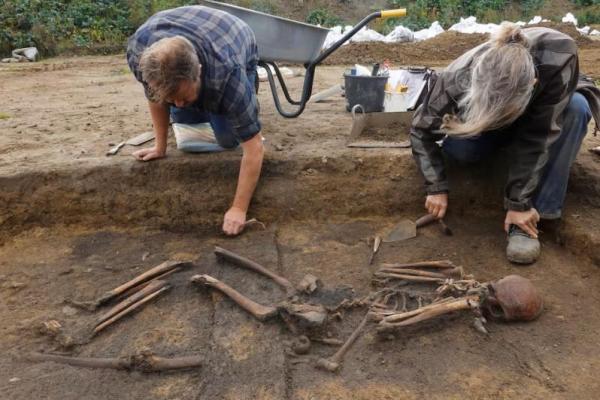 Arkeolog menggali kerangka di sebuah lubang di situs pemakaman zaman Viking di desa Aasum, Denmark, 25 September 2024. REUTERS 