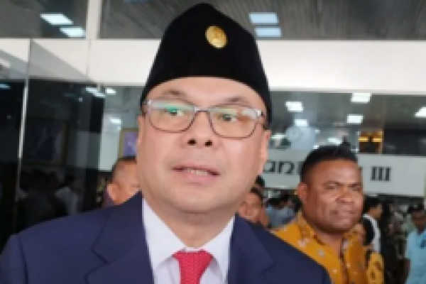 Bukan Pemberian, Romy Soekarno Sebut Lolos ke Senayan Karena Perjuangan 