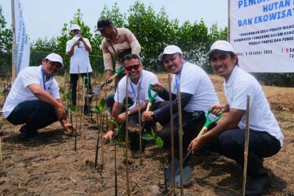 Kerja Bareng Rumah Madani Indonesia, ASDP Tanam 3000 Mangrove di Tangerang