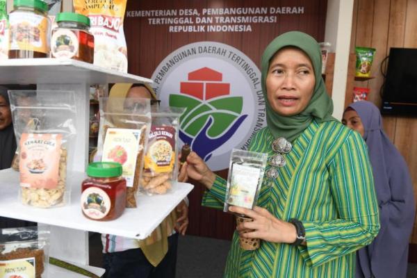 Direktur Jenderal (Dirjen) Pengembangan Ekonomi dan Investasi Desa (PEID) Kementerian Desa, Pembangunan Daerah Tertinggal, dan Transmigrasi (Kemendes PDTT), Harlina Sulistyorini  (Foto: Humas Kemendes PDTT) 