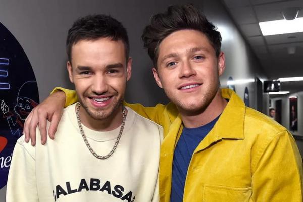 Liam Payne (kiri) dan Niall Horan di Los Angeles pada tahun 2017. (FOTO: GETTY IMAGE) 