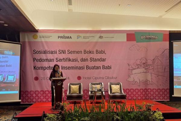 Kementan Sosialisasi SKKK Inseminasi Buatan Ternak Babi, Dorong Produktivitas Peternakan