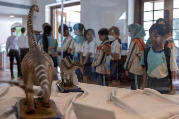 Seorang anak melihat patung-patung dinosaurus yang dipajang di Hong Kong Heritage Discovery Centre di Hong Kong, Tiongkok, 25 Oktober 2024. REUTERS 