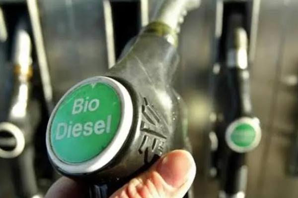 Swasembada Energi, Bahlil Rancang Pengembangan Biodiesel Hingga B100