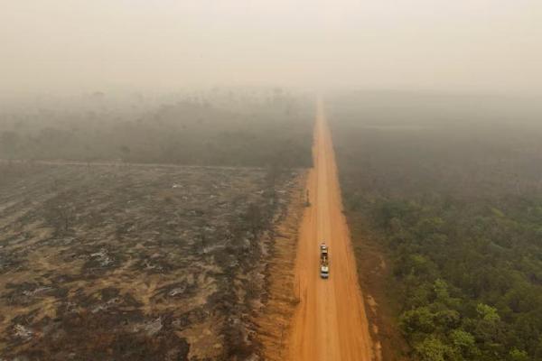 Pemandangan drone menunjukkan kehancuran akibat kebakaran hutan di Labrea, negara bagian Amazonas, Brasil 6 September 2024. REUTERS 