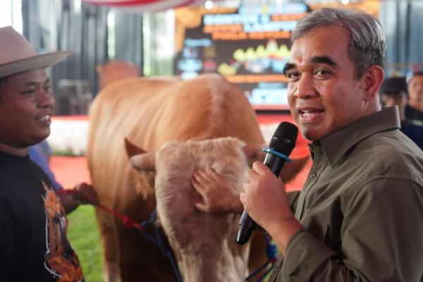 Ketua MPR RI Ahmad Muzani dalam acara Kontes dan Expo Sapi yang digelar oleh Asosiasi Peternak dan Penggemuk Sapi Indonesia di Kabupaten Lampung Tengah, Provinsi Lampung (Foto: Humas MPR) 