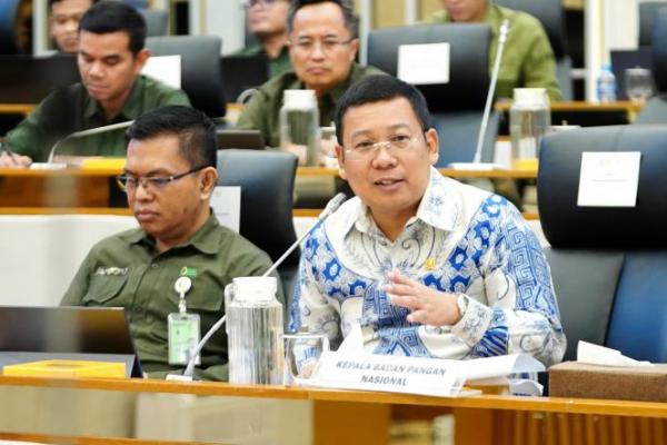 Kepala Badan Pangan Nasional/National Food Agency (NFA)  Arief Prasetyo Adi dalam Rapat Dengar Pendapat (RDP) Komisi IV DPR RI, di Kompleks Parlemen Senaya, Jakarta, Selasa (19/11/2024)..(foto:NFA) 