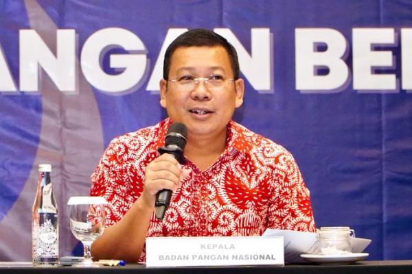 Kepala Badan Pangan Nasional/National Food Agency (NFA)  Arief Prasetyo Adi (foto:NFA) 