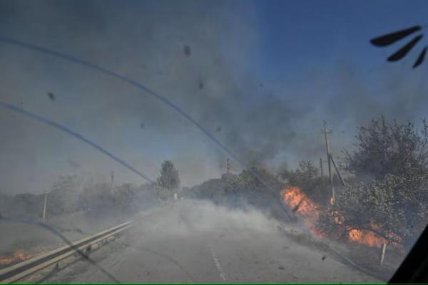 Seorang petugas polisi melewati pohon-pohon yang terbakar selama evakuasi warga sipil dari pinggiran kota Kurakhove, Donetsk, Ukraina 16 September 2024. REUTERS 