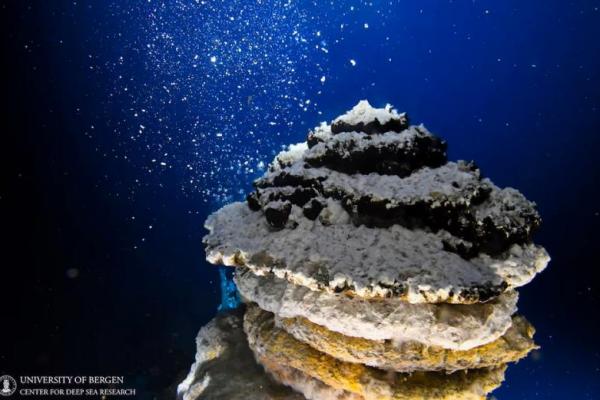 Pemandangan berupa lapangan Ventilasi Jan Mayen di Punggungan Tengah Samudra Arktik. Handout via REUTERS  