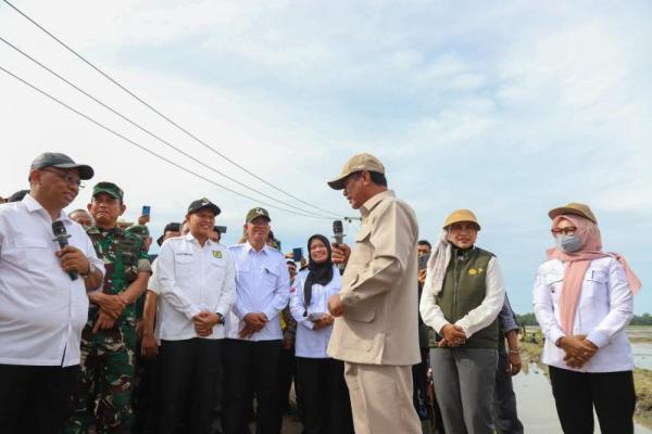 Menteri Pertanian (Mentan) Andi Amran Sulaiman meninjau lahan optimasi lahan (Oplah) di Desa Tebing Tinggi, Kecamatan Tanjung Beringin, Kabupaten Serdang Bedagai, Sumatera Utara (Sumut), Rabu (Foto: Kementan) 