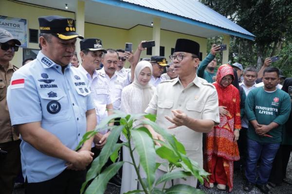 Menteri Desa dan Pembangunan Daerah Tertinggal (Mendes PDT) Yandri Susanto mengunjungi Desa Inovasi Muara Tinobu, Kabupaten Konawe Utara, Rabu (Foto: Kemendes PDT) 