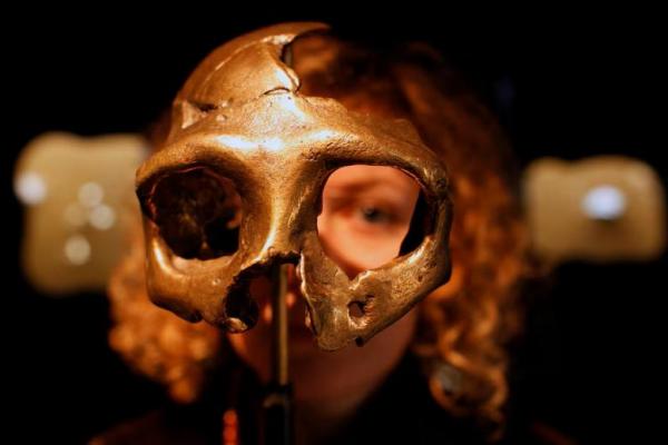 Seorang gadis melihat replika tengkorak Neanderthal di Museum Neanderthal baru di kota Krapina, Kroasia utara, 25 Februari 2010. REUTERS 