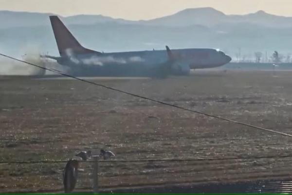 Tabrakan Burung Dinilai Tidak Mungkin Sebabkan Kerusakan Roda Jeju Air