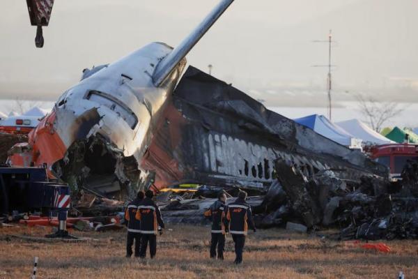 Petugas pemadam kebakaran memeriksa reruntuhan pesawat yang jatuh di Bandara Internasional Muan, Korea Selatan, 31 Desember 2024. REUTERS 